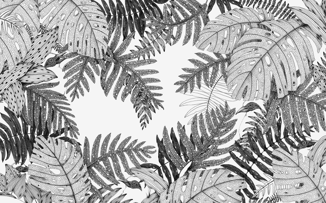 670x418 in the forest floor - Pencil Drawing Of A Forest