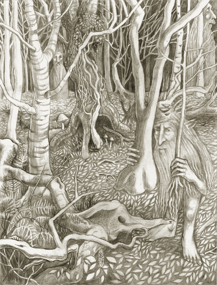 762x1000 the hermitage a forest of pencils - Pencil Drawing Of A Forest