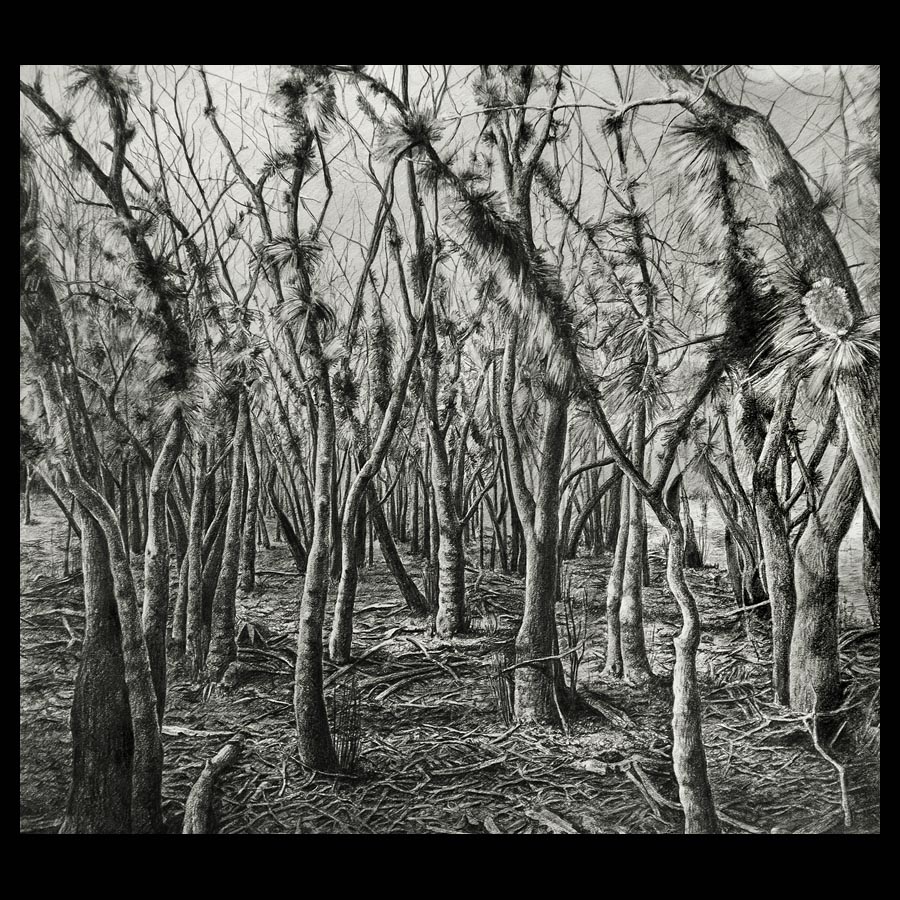 Pencil Drawing Of A Forest at Explore collection