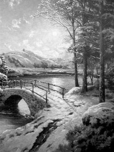 236x314 forest interior - Pencil Drawing Of A Forest