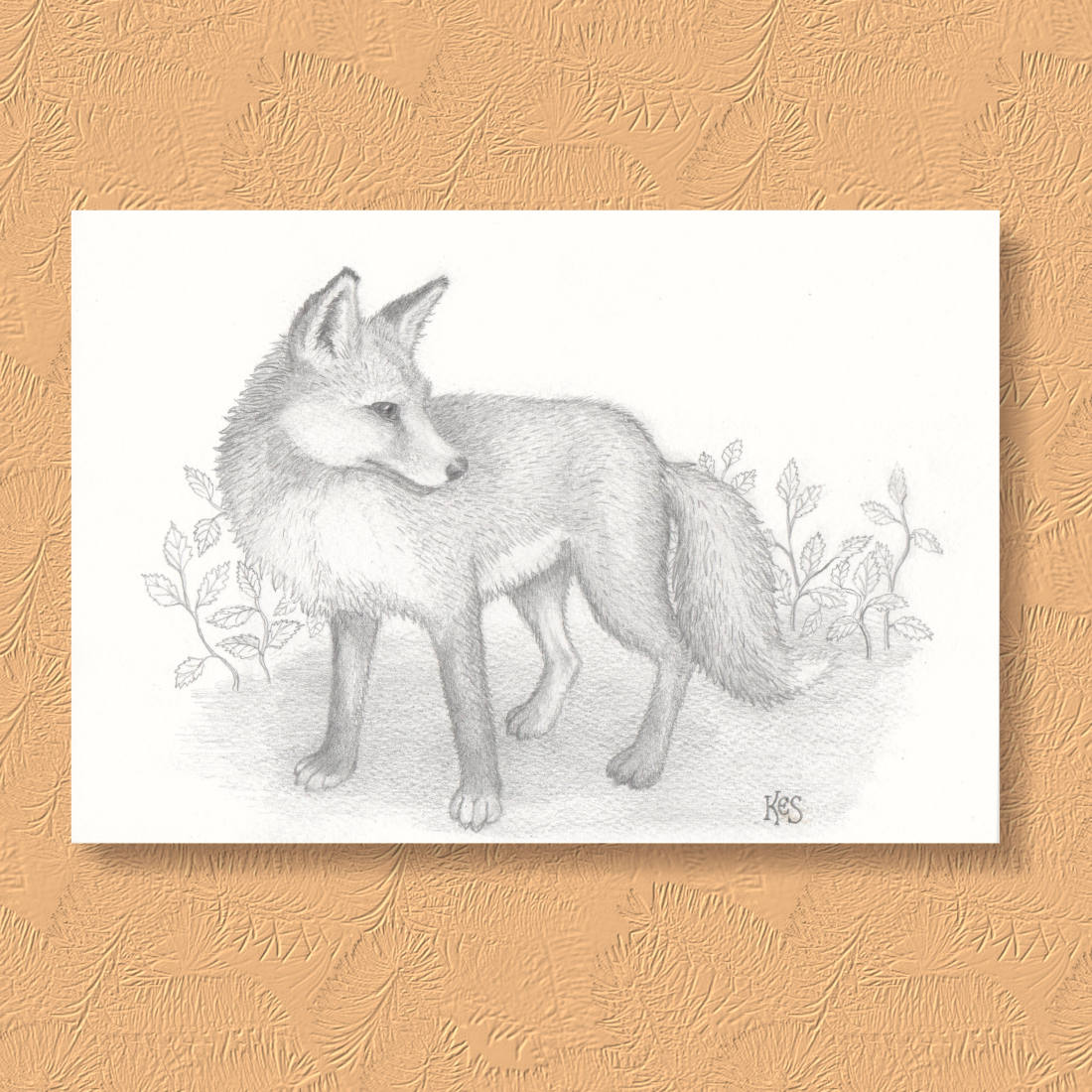 1100x1100 Fox Drawing An Original Pencil Drawing Of A Fox - Pencil Drawing Of A Fox