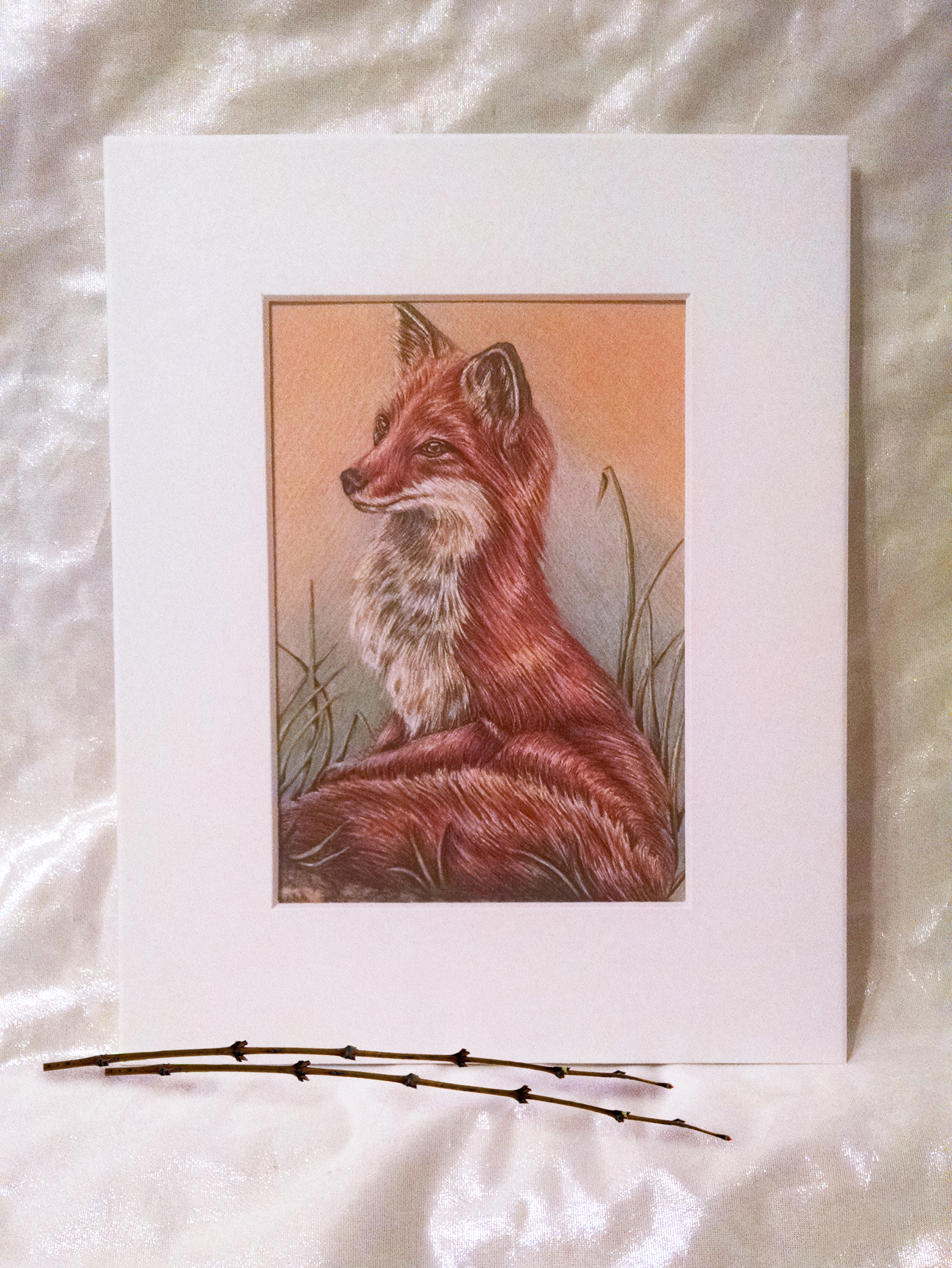 2432x3240 Red Fox Colored Pencil Drawing Pet Portraits, Family - Pencil Drawing Of A Fox