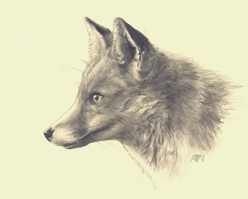 794x636 Red Fox Print From Original Pencil Drawing Realistic Fox Etsy - Pencil Drawing Of A Fox