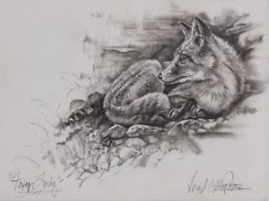 300x225 fox art, pencil drawing of a fox, wildlife fox pencil drawing - Pencil Drawing Of A Fox