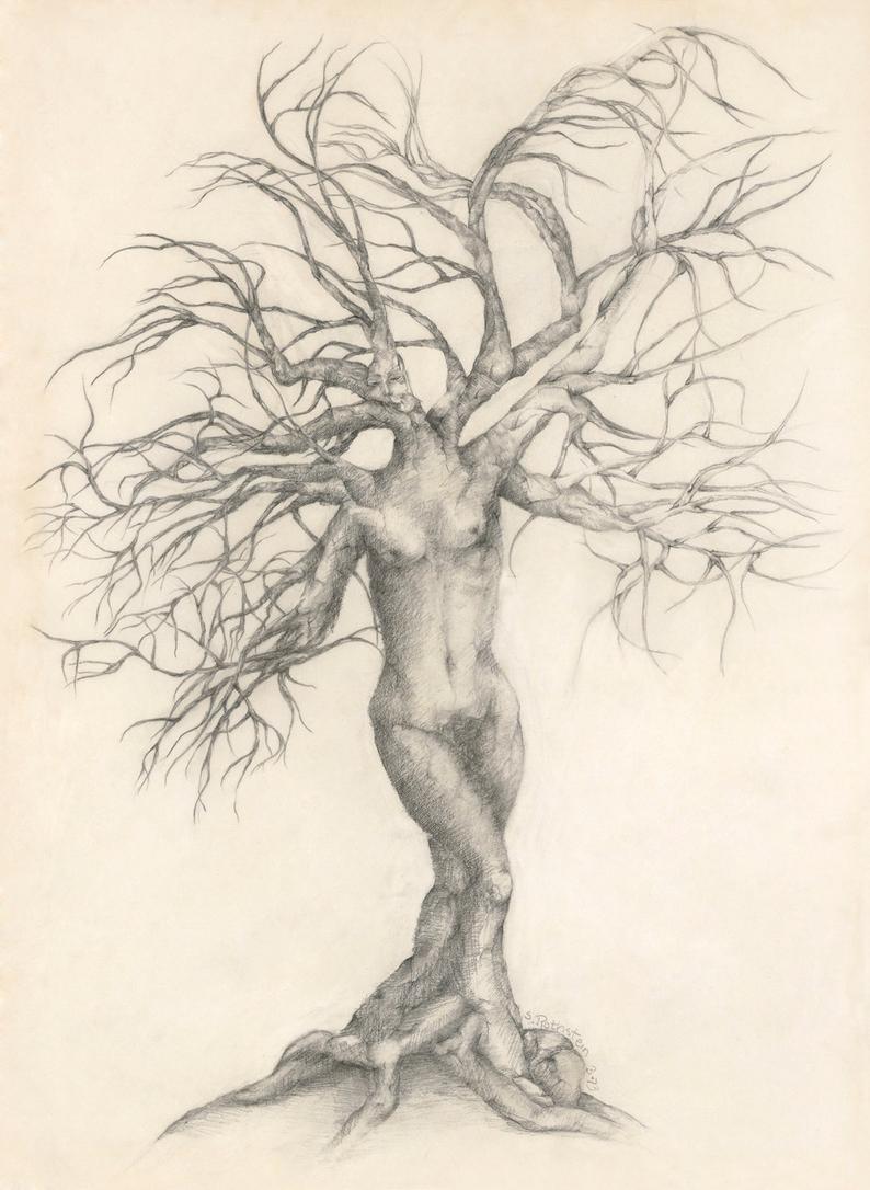 794x1086 Woman In Tree Life Journey My Soul Spoke To Etsy - Pencil Drawing Of Tree Of Life