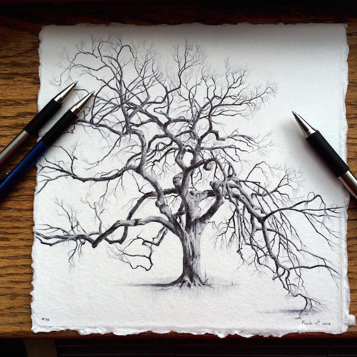 721x721 Artist Reflects On Life During Pregnancy - Pencil Drawing Of Tree Of Life