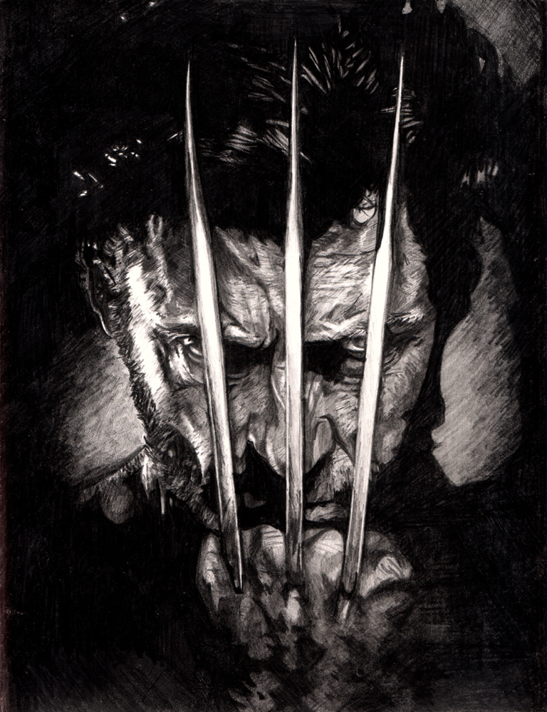 768x1000 graphite drawing wolverine for free download - Pencil Drawing Of Wolverine
