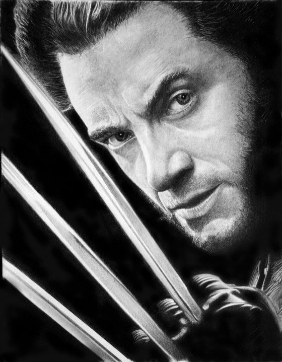 560x719 realistic pencil art of wolverine leaps off - Pencil Drawing Of Wolverine