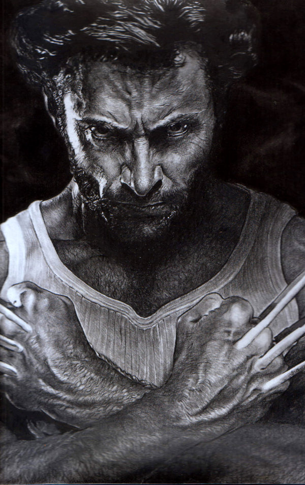 600x954 the great wolverine art my traditional digital art - Pencil Drawing Of Wolverine