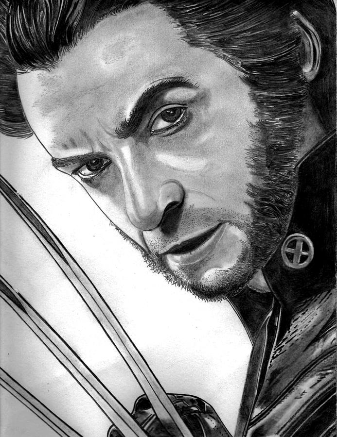 Pencil Drawing Of Wolverine at PaintingValley.com | Explore collection ...