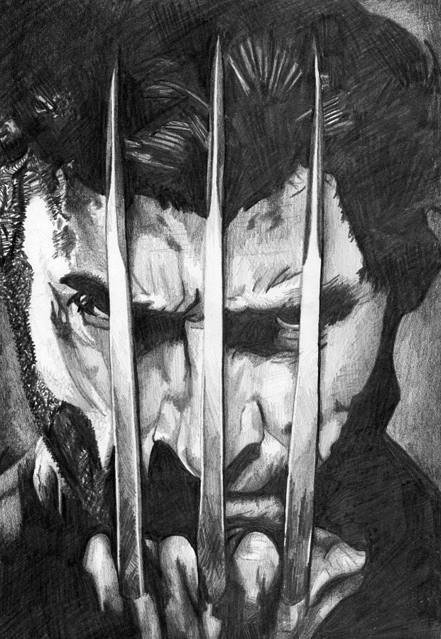 621x900 wolverine drawing - Pencil Drawing Of Wolverine