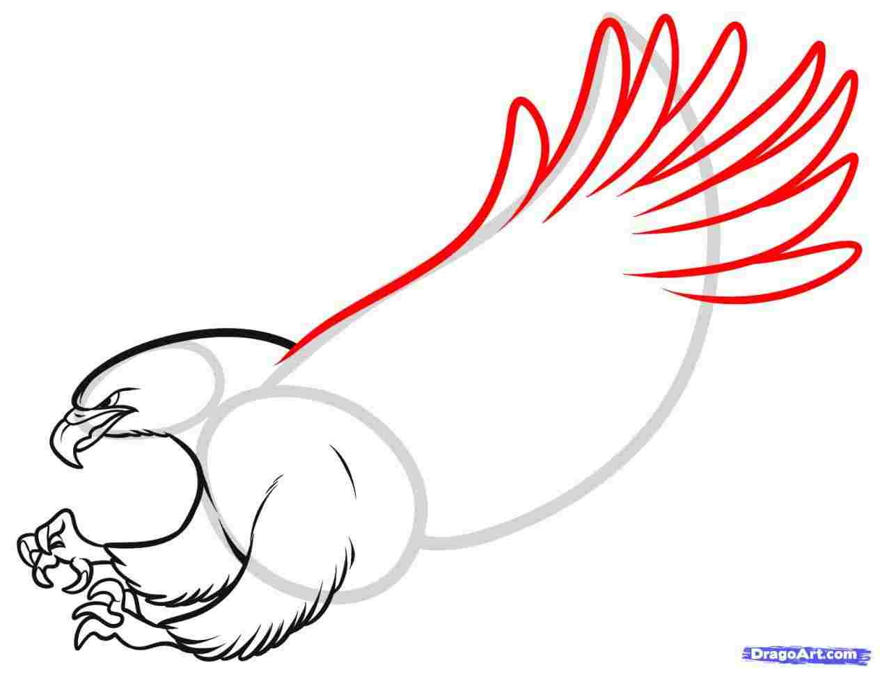 1264x969 birds drawing google search subjects rhcouk female pencil - Pencil Drawing Outline