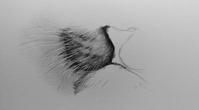 672x372 Onlypencil Drawing Tutorials - Pencil Drawing Pics