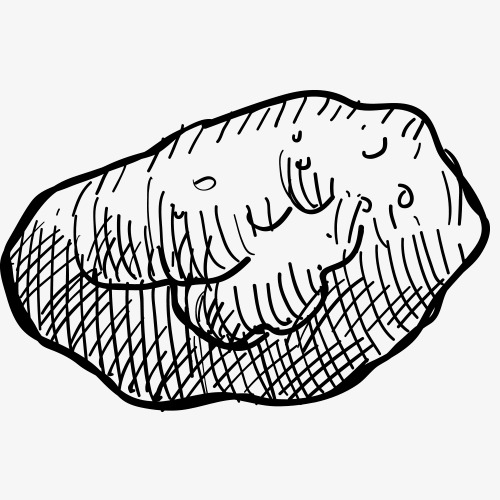 500x500 pencil drawing,fruits and vegetables,vegetables,sketch,black - Pencil Drawing Pictures Free Download