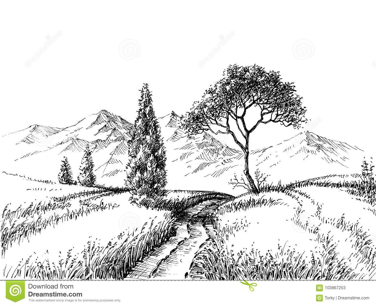 1300x1059 drawing landscapes in pencil free download and field landscape - Pencil Drawing Pictures Free Download
