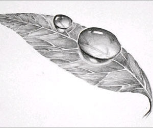 300x250 Easy Art Pencil Drawing How To Draw Dew Drop On Leaf - Pencil Drawing Tutorial