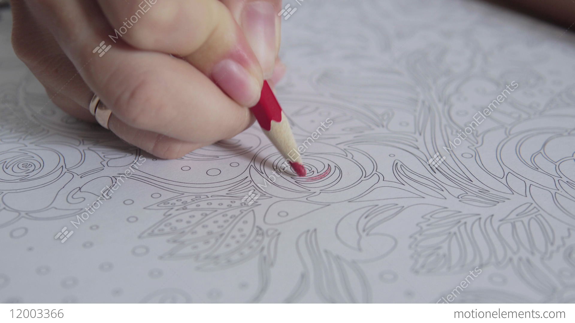 1920x1080 color video of a woman hand holding a pencil drawing and coloring - Pencil Drawing Video