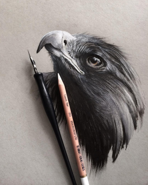 475x592 stunning animals realistic pencil drawing - Pencil Drawings Of Animals