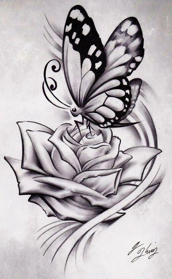 560x908 drawings of flowers and butterflies ideas rose drawing tattoos - Pencil Drawings Of Flowers
