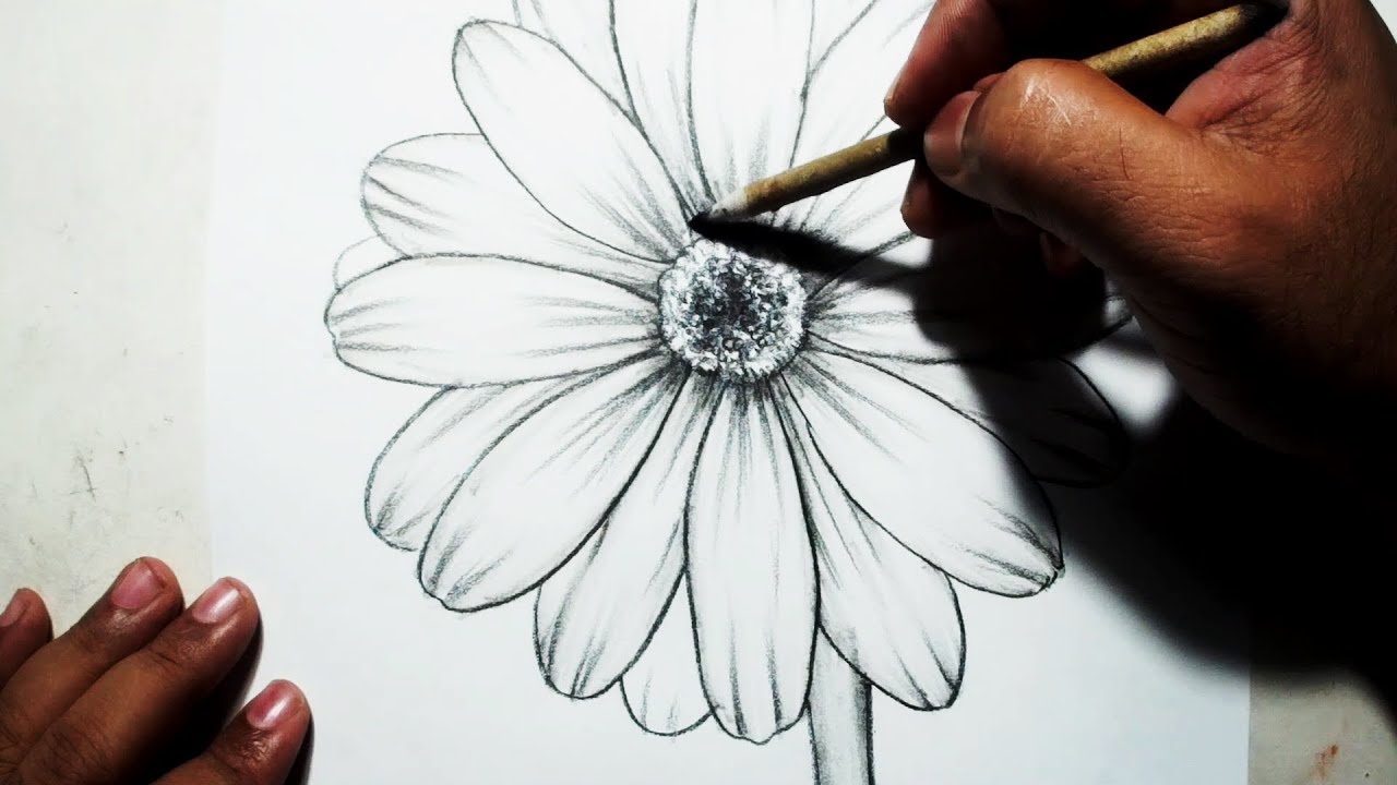 1280x720 How To Draw A Flower Easy Pencil Drawing - Pencil Drawings Of Flowers