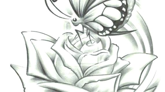 570x320 Ideas Pencil Drawings Of Flowers Or Drawn Pencil Drawing - Pencil Drawings Of Flowers