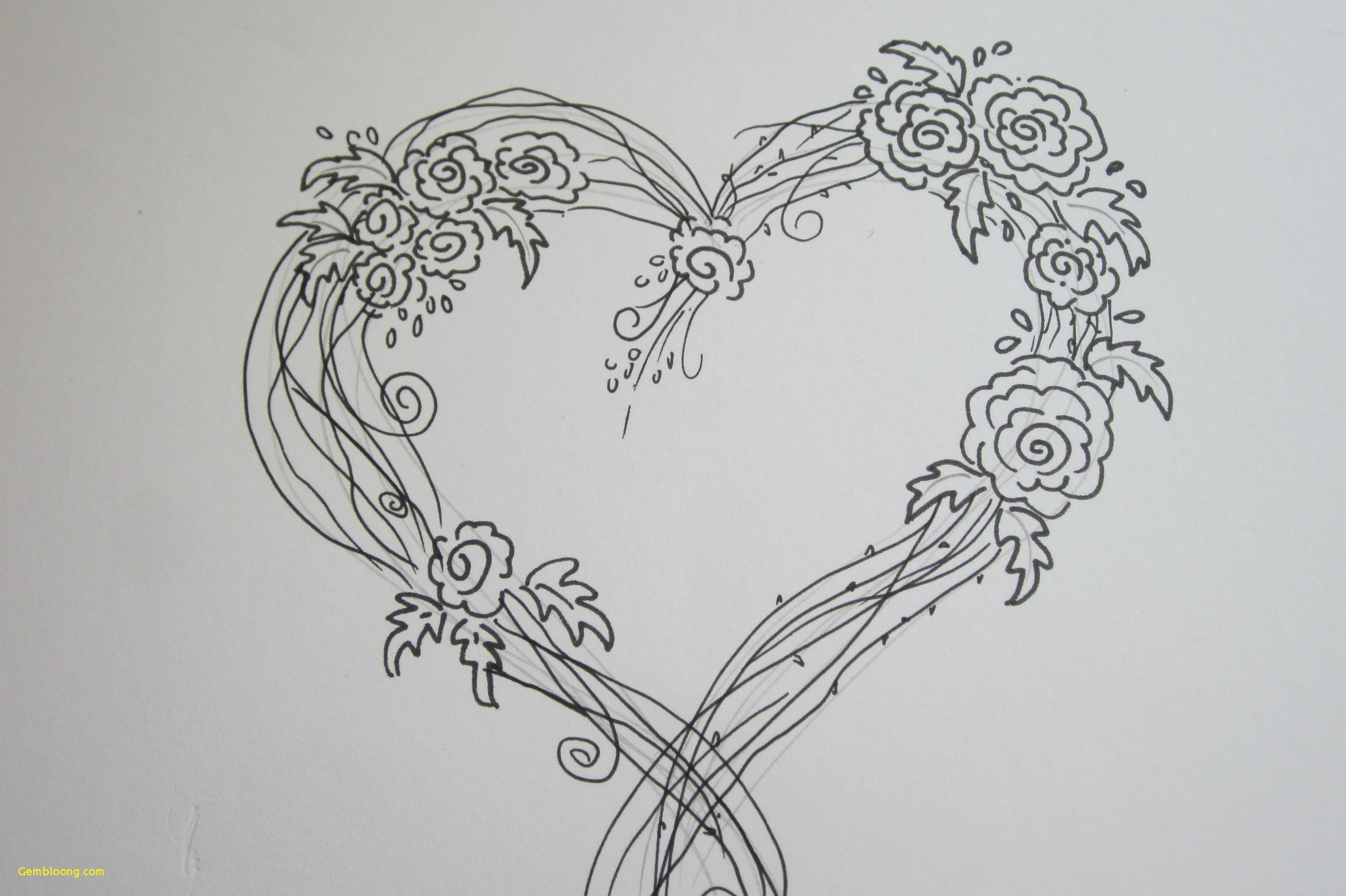 3000x1998 Pencil Drawing Tutorial Perfect Drawing Flowers And Hearts - Pencil Drawings Of Flowers