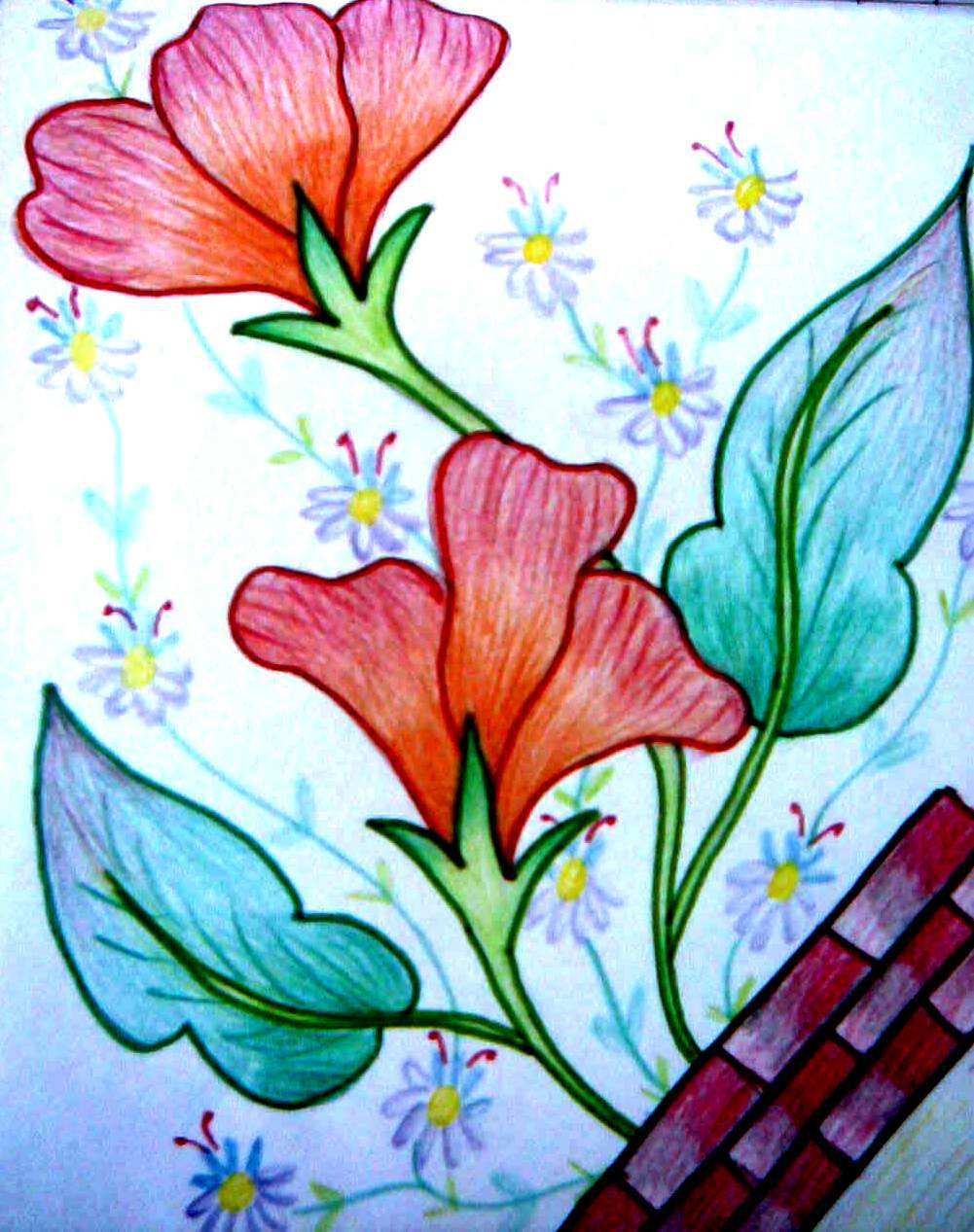 1001x1267 Pencil Colour Painting Fresh Colored Pencil Drawings Flowers - Pencil Drawings Of Flowers