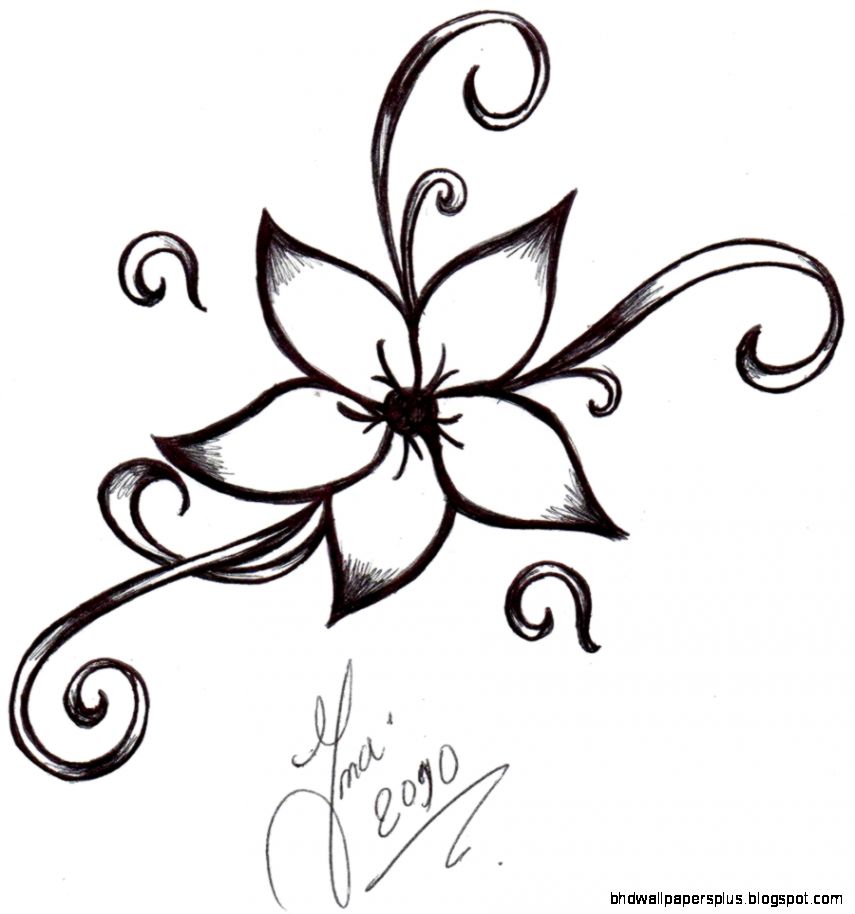 855x914 Simple Flower Designs Pencil Drawing Flower Drawing Hd Wallpapers - Pencil Drawings Of Flowers Step By Step