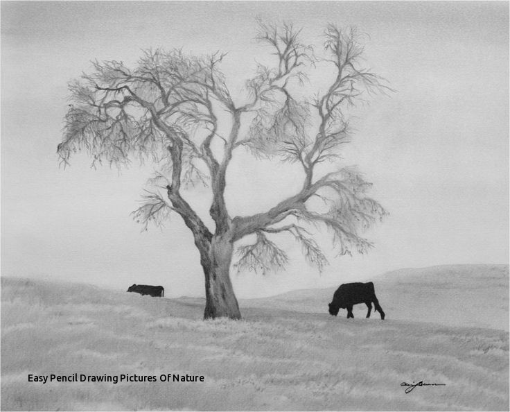 Pencil Drawings Of Nature At Paintingvalley Com Explore Collection