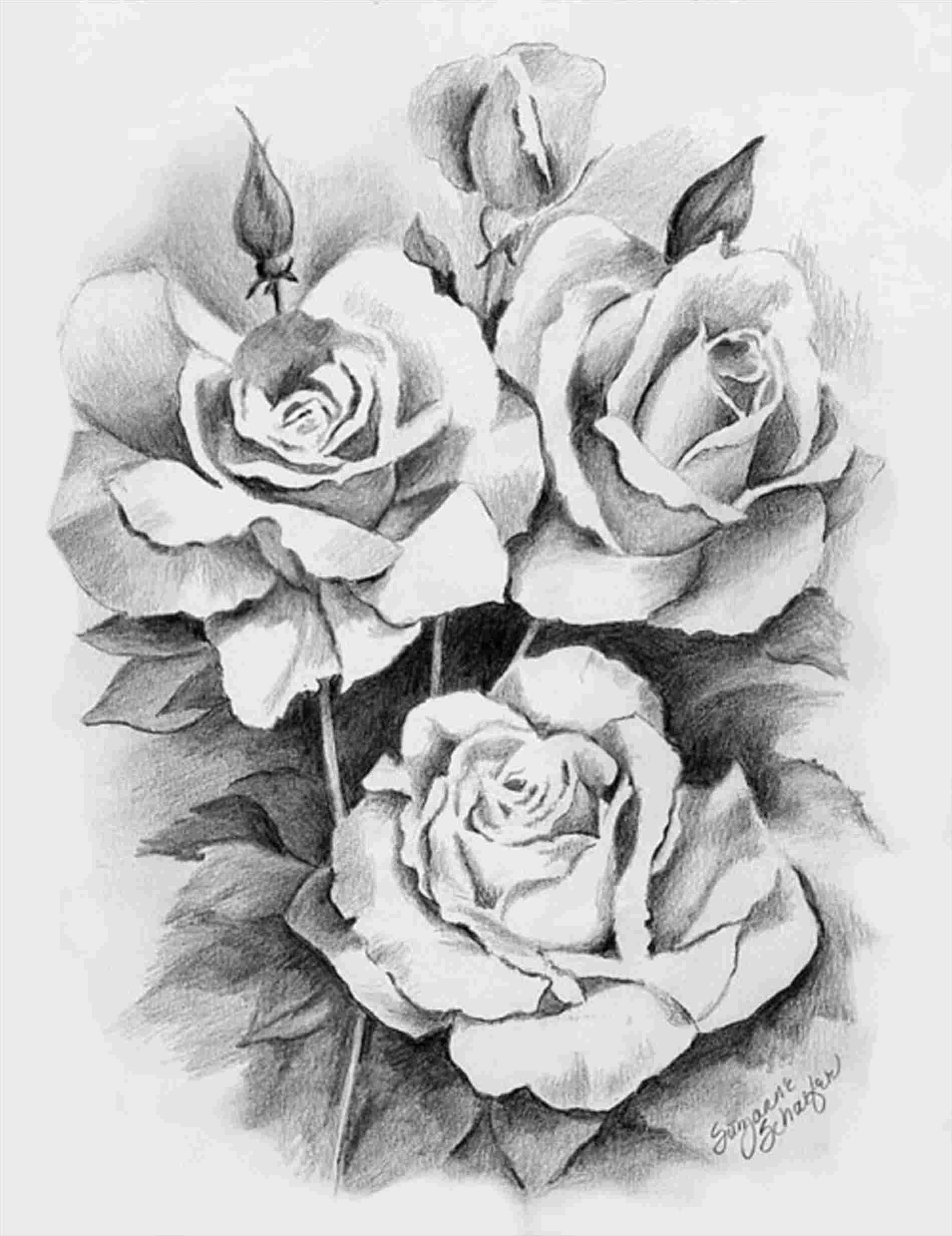 Pencil Drawings Of Roses And Hearts at Explore
