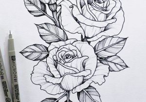 Pencil Drawings Of Roses And Hearts At Paintingvalley Com