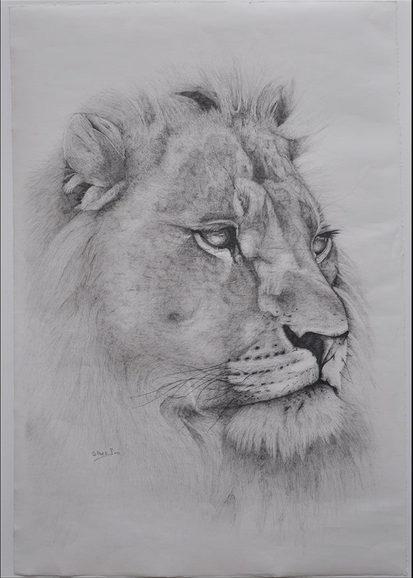Pencil Lion Drawing at PaintingValley.com | Explore collection of ...