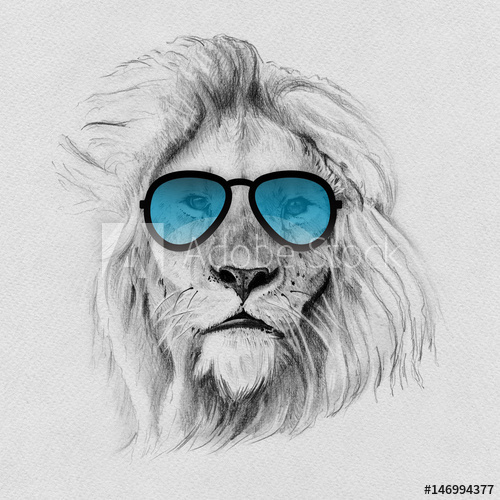 500x500 Portrait Of Lion Drawn - Pencil Lion Drawing