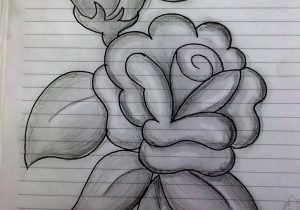 300x210 pencil shaded drawings of flowers flower drawing with shading - Pencil Shading Drawing
