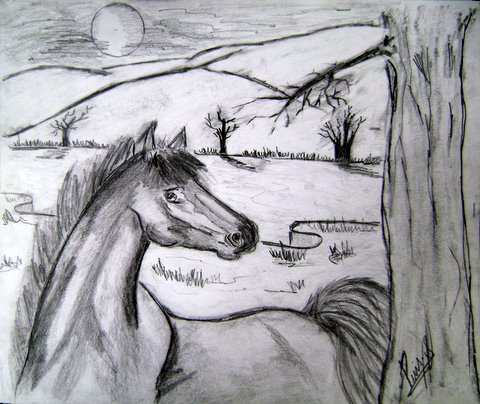 480x404 pictures painting in pencil shading - Pencil Shading Drawing