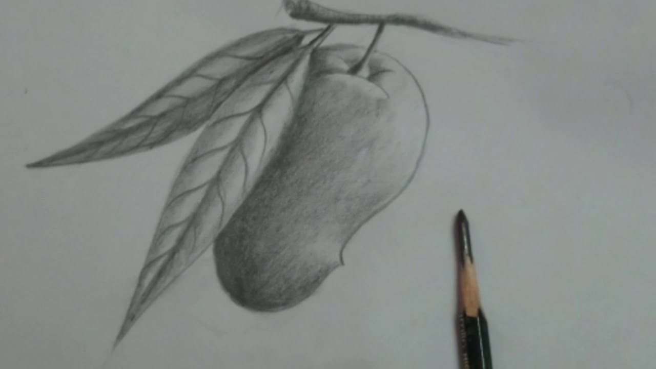 1280x720 how to draw a mango pencil shading drawing - Pencil Shading Drawing Images
