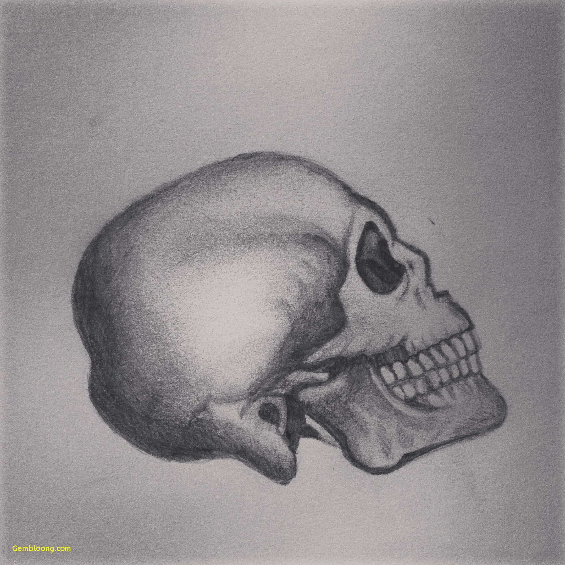 1852x1852 pencil drawings of skulls classy skull head pencil shading - Pencil Shading Drawing Images
