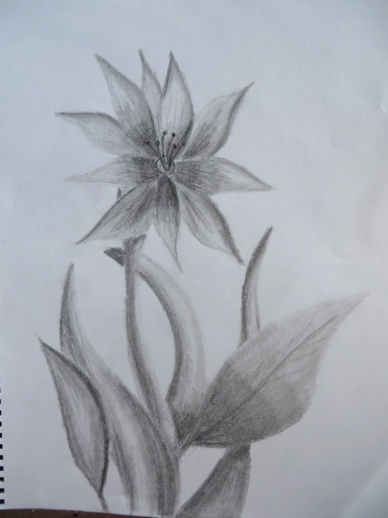 768x1024 How To Draw A Flower Pot With Pencil Shading - Pencil Shading Drawing Pictures
