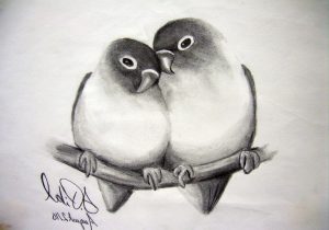 300x210 learn pencil shading animal photo learn pencil shading animals - Pencil Shading Drawing Pictures