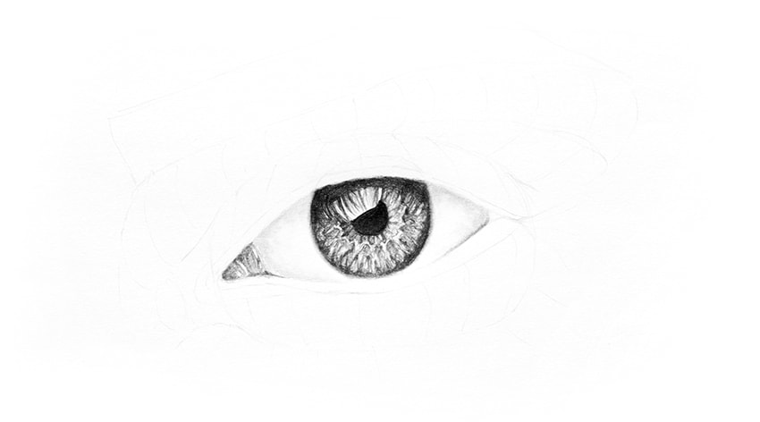 850x472 How To Draw A Realistic Eye - Pencil Shadow Drawing