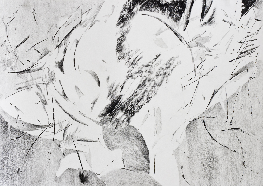 1024x725 lost in the shadow of my window liesje van den berk - Pencil Shadow Drawing