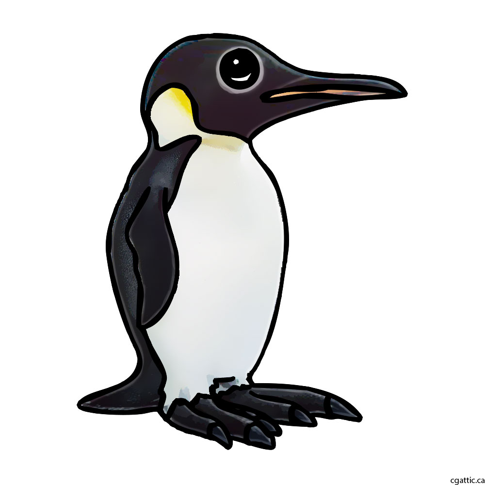 1000x1000 penguin cartoon drawing in steps with photoshop - Penguin Cartoon Drawing