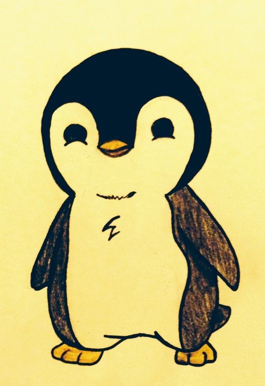 528x769 want to draw, also would make an adorable tattoo with mr s - Penguin Cartoon Drawing