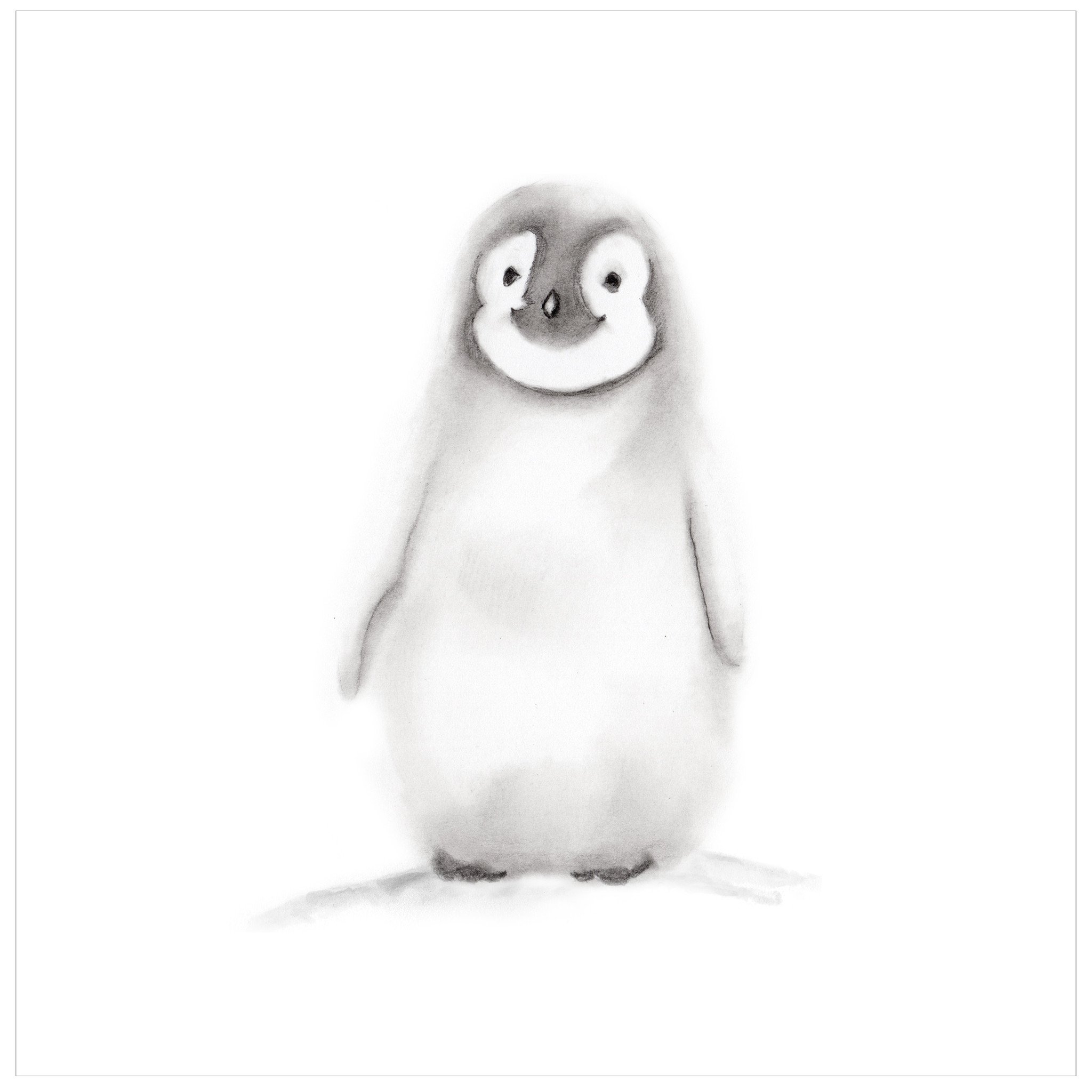 2048x2048 Penguin Pencil Drawing Print - Penguin Drawing