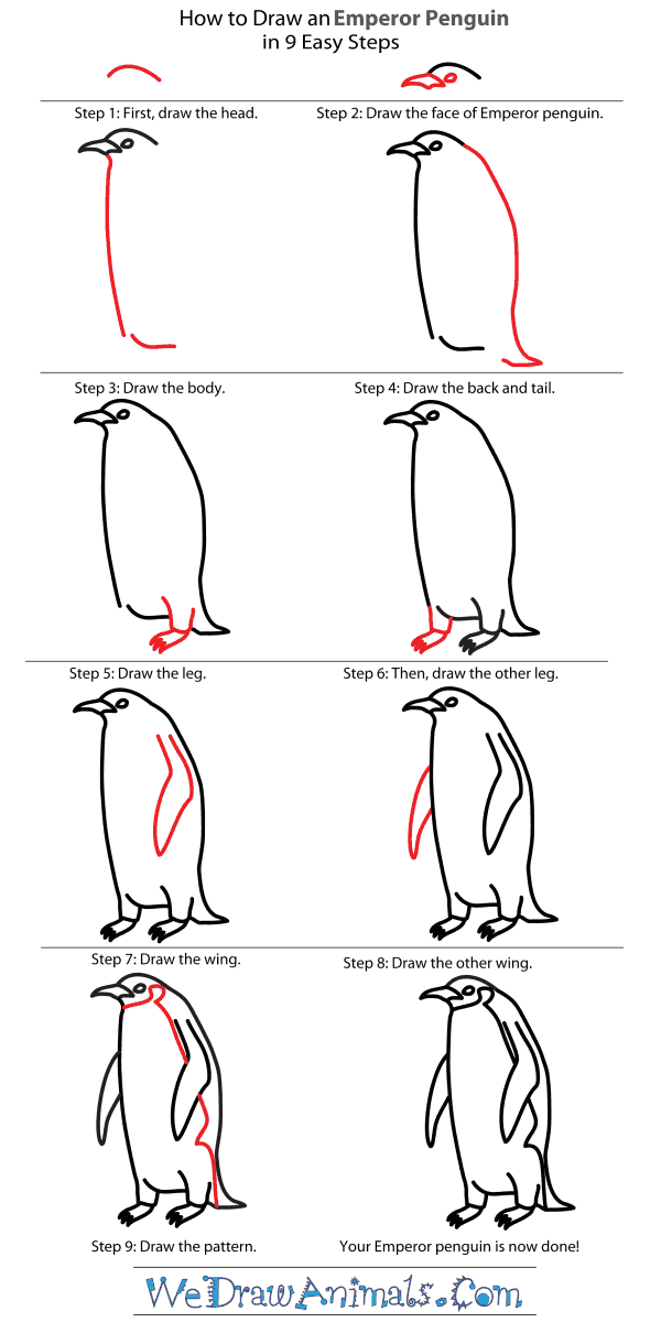600x1200 how to draw an emperor penguin - Penguin Drawing Easy