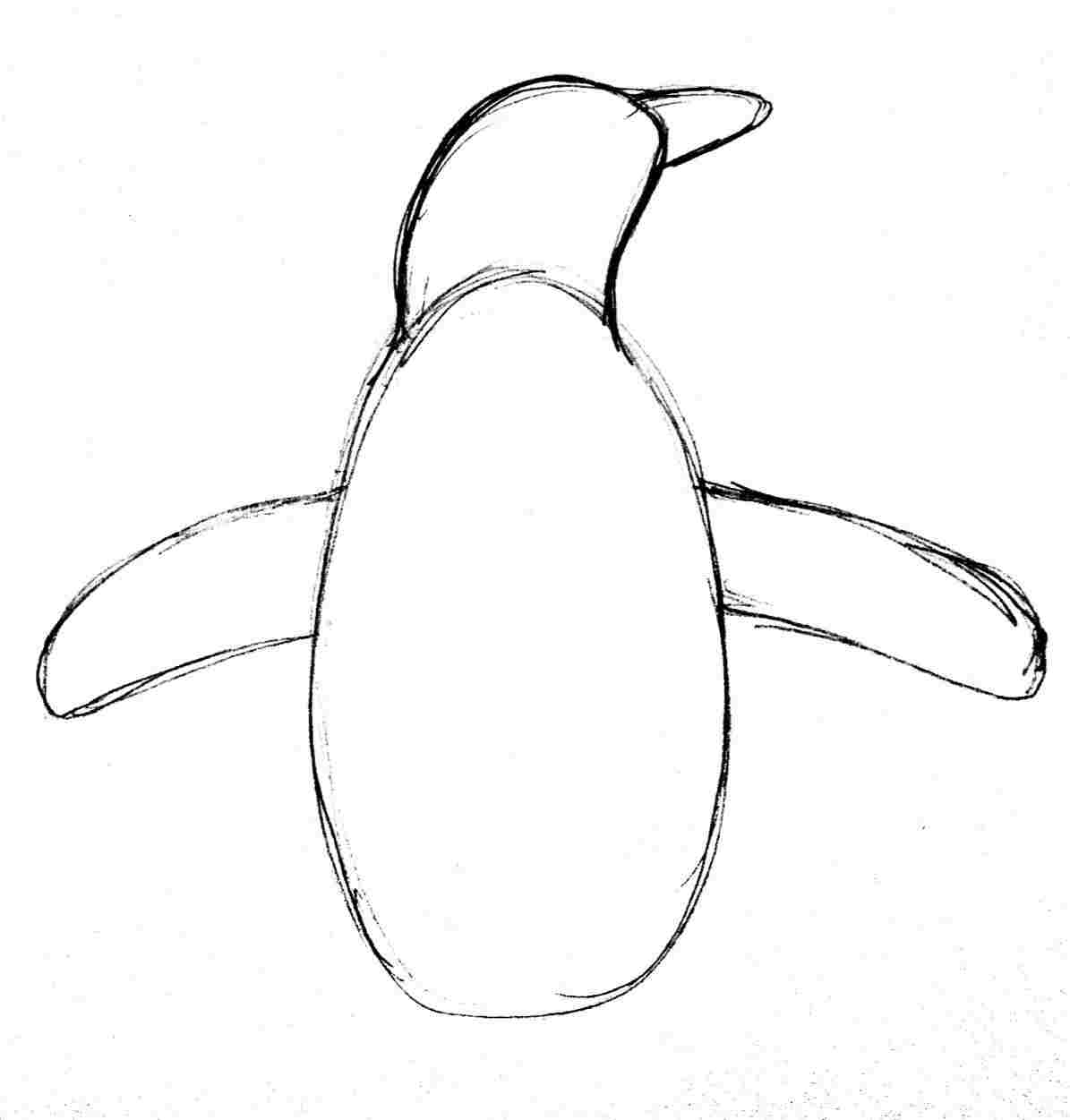 1195x1251 From With Easy Step - Penguin Drawing Images