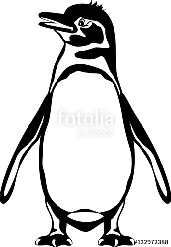 348x500 Galapagos Penguin Black And White Outline Stock Image - Penguin Drawing Outline