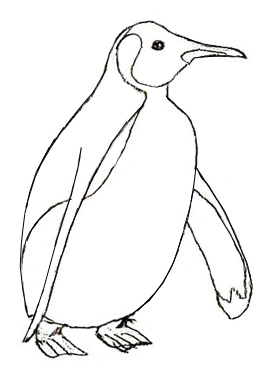 260x370 How To Draw A Penguin - Penguin Drawing Outline