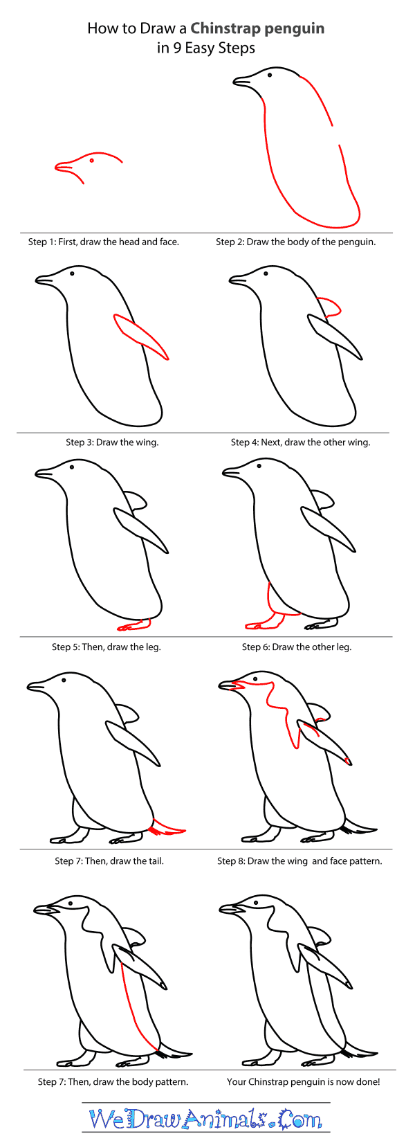 600x1651 How To Draw A Chinstrap Penguin - Penguin Drawing Step By Step