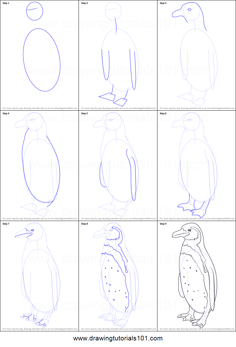 Penguin Drawing Step By Step at PaintingValley.com | Explore collection ...